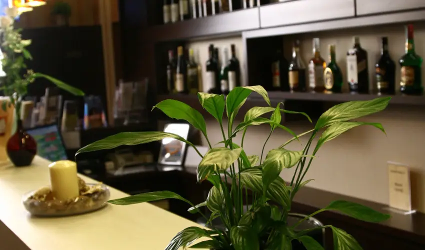 Central Hotel 21 Budapest - Pnksd - teljes elrefizetssel