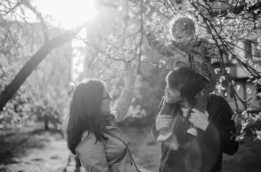 Crystal Hotel - Pnksd