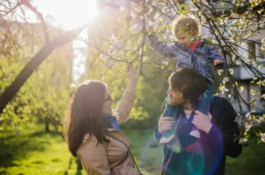 Crystal Hotel - Pnksd