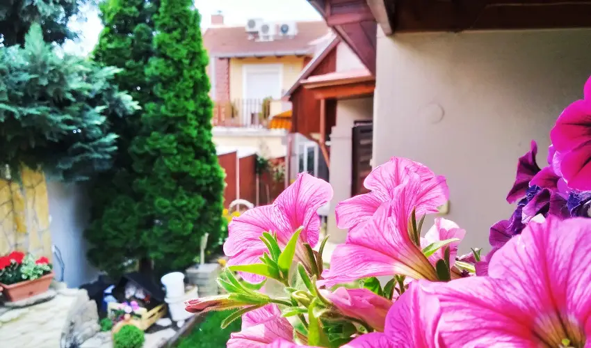 Csobog Vendghz Eger - Pnksd 