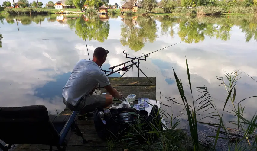 Csodaszarvas Tjpark Rbahdvg - Pnksd (min. 2 j)