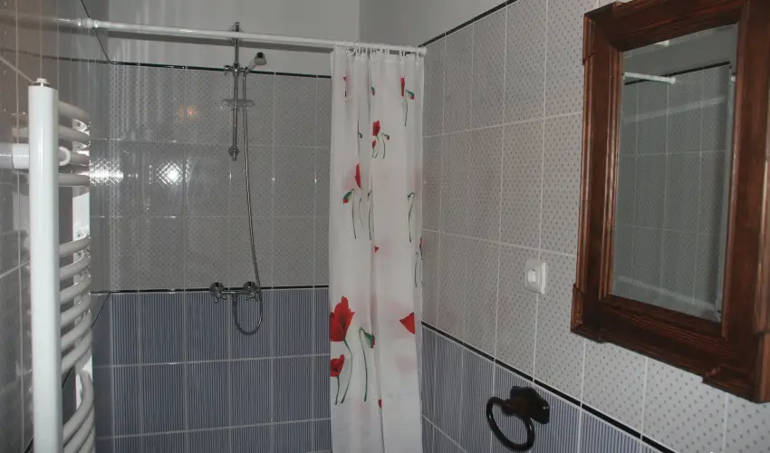 Czirka Vendghz Tolcsva - Pnksd (min. 2 j)