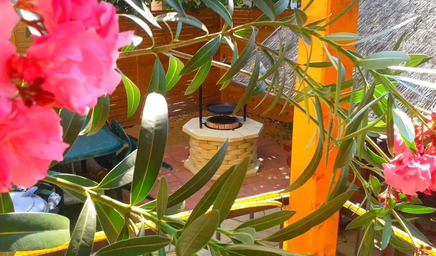 Dek Vendghz Hajdszoboszl - Pnksd