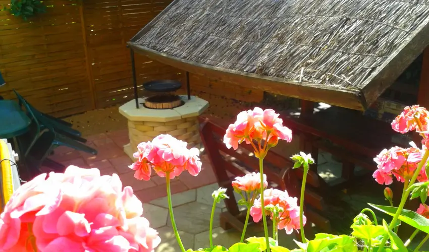 Dek Vendghz Hajdszoboszl - Pnksd