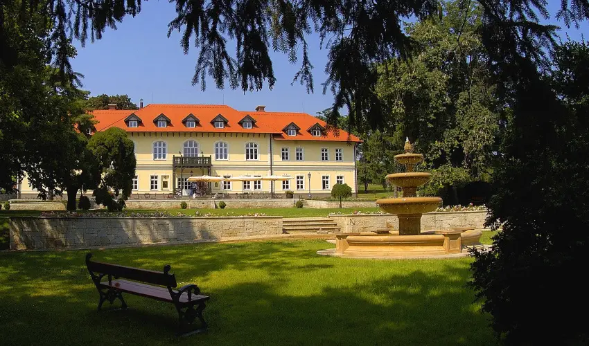 grf Degenfeld Kastlyszll Tarcal - Pnksd 