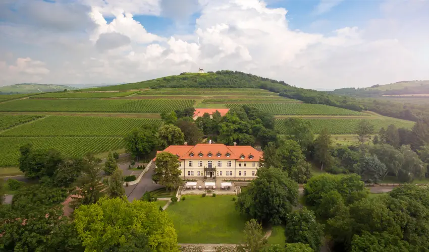 grf Degenfeld Kastlyszll Tarcal - Pnksd 