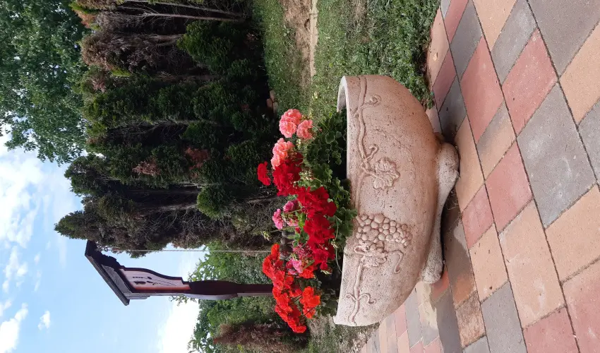 Difa Vendghz Kehidakustny - Pnksd (min. 3 j)