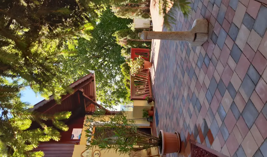 Difa Vendghz Kehidakustny - Pnksd (min. 3 j)