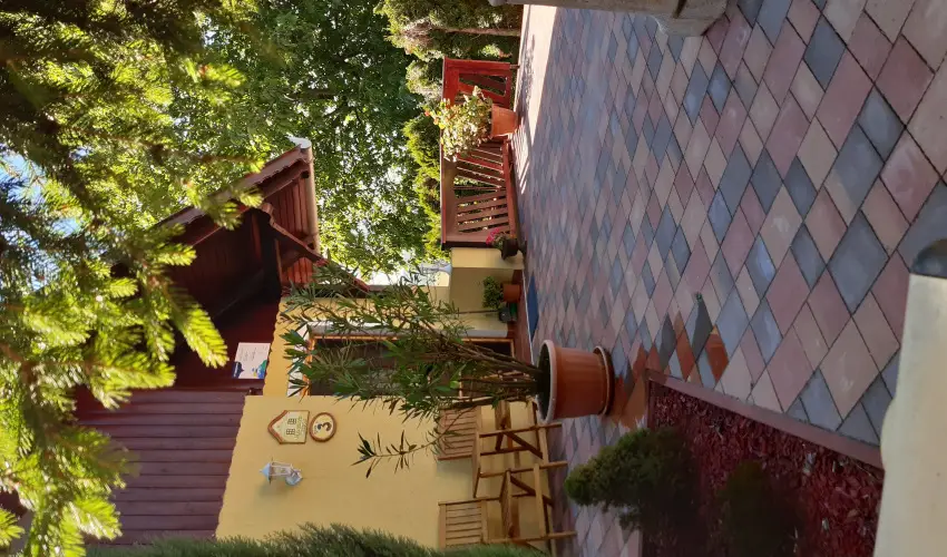 Difa Vendghz Kehidakustny - Pnksd (min. 3 j)