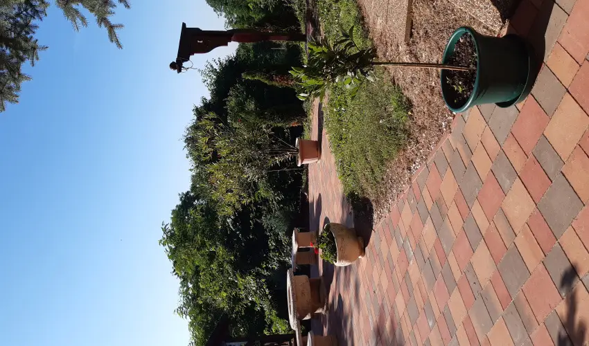 Difa Vendghz Kehidakustny - Pnksd (min. 3 j)