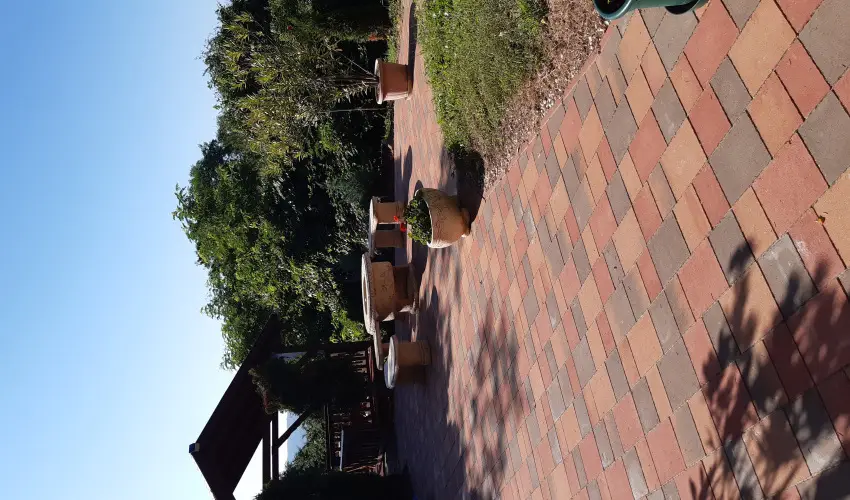 Difa Vendghz Kehidakustny - Pnksd (min. 3 j)