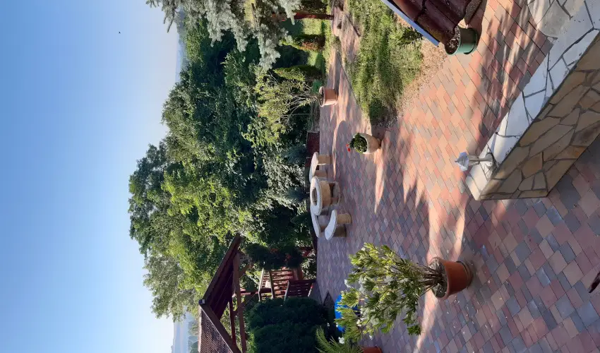 Difa Vendghz Kehidakustny - Pnksd (min. 3 j)