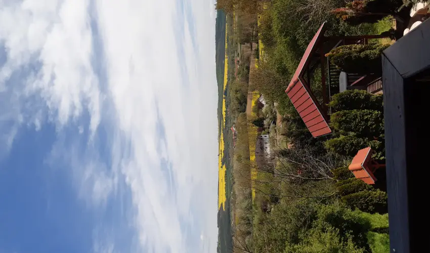 Difa Vendghz Kehidakustny - Pnksd (min. 3 j)