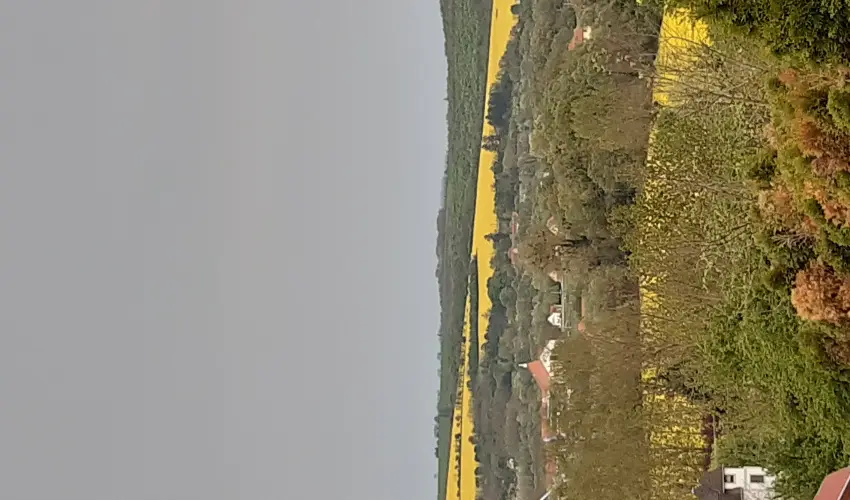 Difa Vendghz Kehidakustny - Pnksd (min. 3 j)