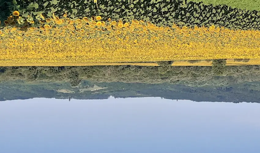 Difa Vendghz Kehidakustny - Pnksd (min. 3 j)