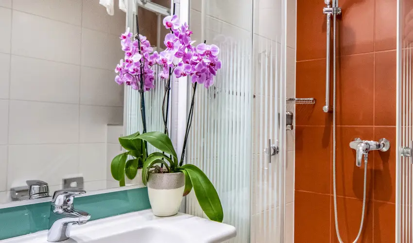 Drva Hotel Thermal Resort Harkny - Pnksdi napok a Drva Hotelben - teljes elrefizetssel (min. 3 j)