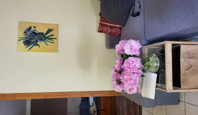 Dream Horse Apartman Cserkeszl