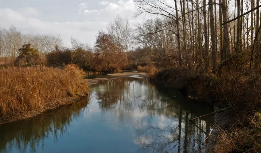 Duna-Beach Apartman Kimle - Pnksd (min. 2 j)