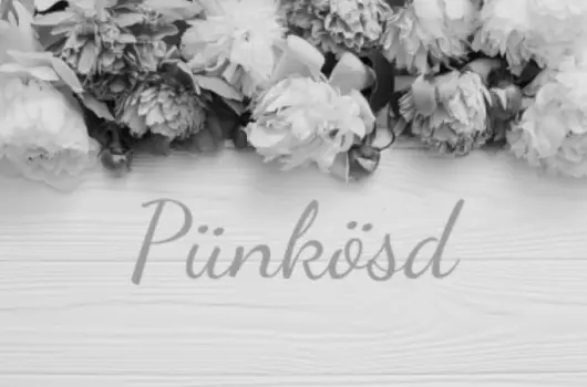 Echo Residence All Suite Hotel - Pnksd