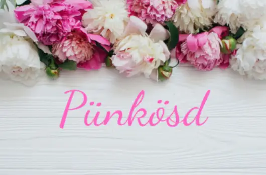 Echo Residence All Suite Hotel - Pnksd