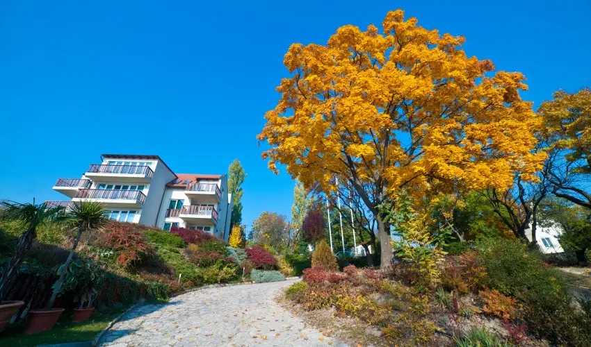 Echo Residence All Suite Hotel Tihany - Pnksd