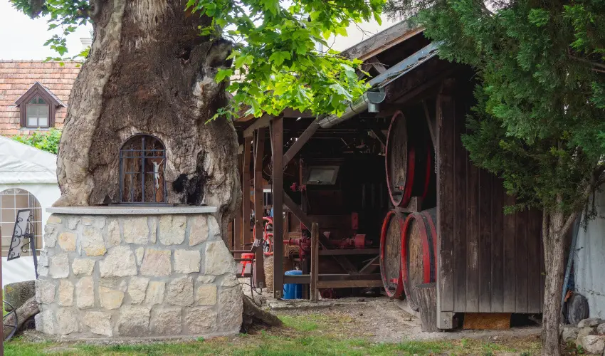 Edvy Malom Fogad s Barokk Udvarhz Ppa - Pnksd (min. 2 j)