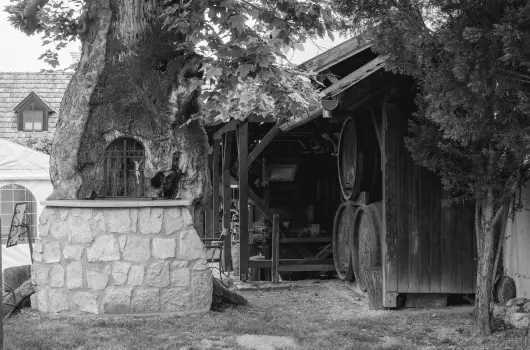 Edvy Malom Fogad s Barokk Udvarhz - Pnksd (min. 2 j)