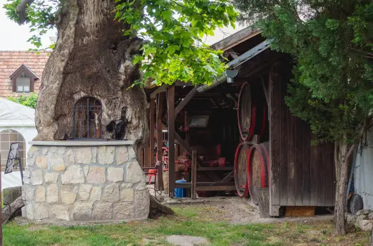 Edvy Malom Fogad� �s Barokk Udvarh�z - P�nk�sd (min. 2 �j)