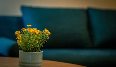 Eleven Business & Sport Hotel Jszrokszlls