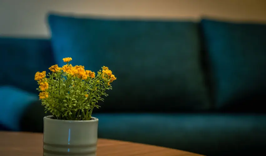 Eleven Business & Sport Hotel Jszrokszlls - Pnksd 