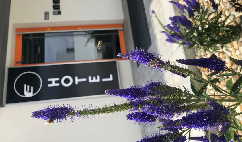 Eleven Business & Sport Hotel Jszrokszlls - Pnksd 