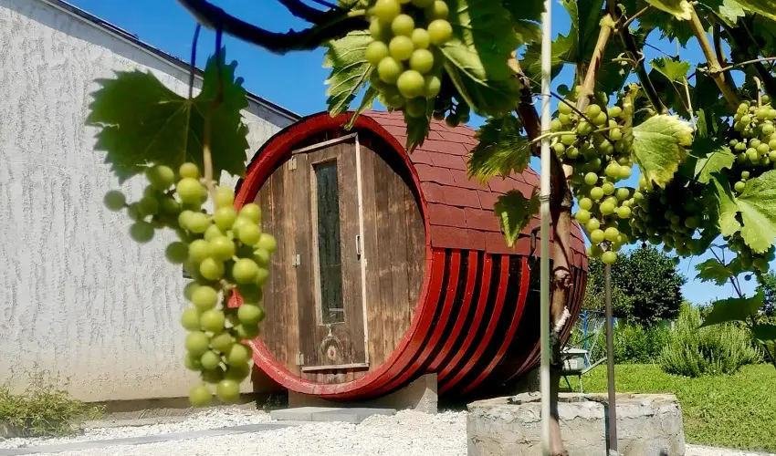 lmny Vendghz Csurg - Pnksd