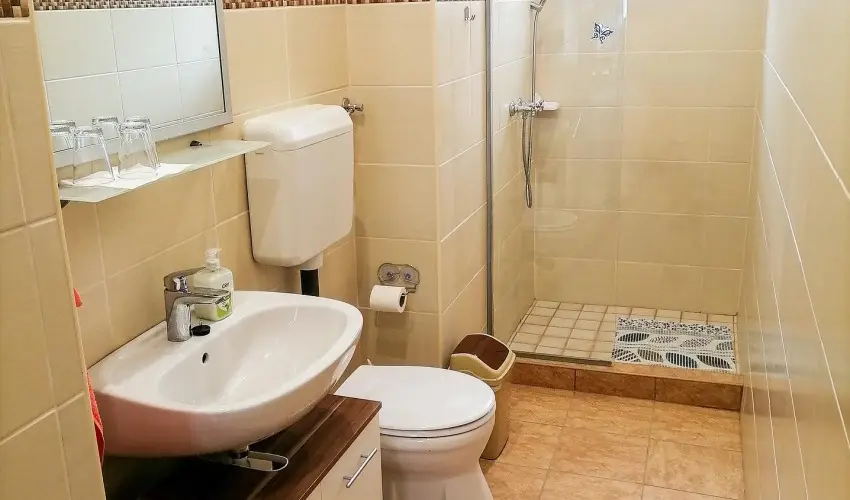 lmny Vendghz Csurg - Pnksd