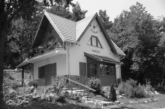 Szarvas Panzi� - P�nk�sd (min. 2 �j)