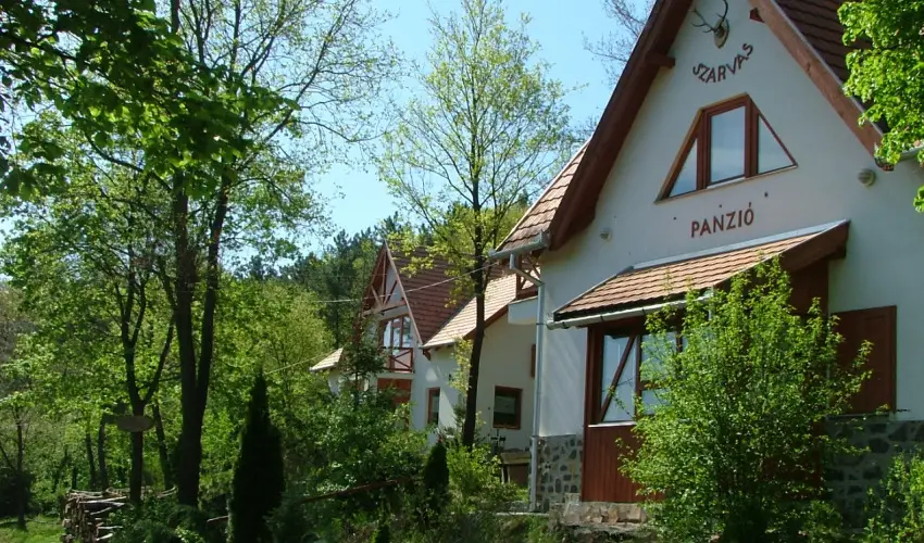 Szarvas Panzi� Erd�b�nye - P�nk�sd (min. 2 �j)