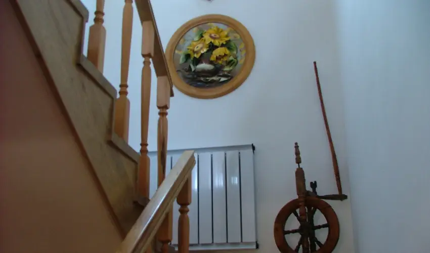 Szarvas Panzi� Erd�b�nye - P�nk�sd (min. 2 �j)