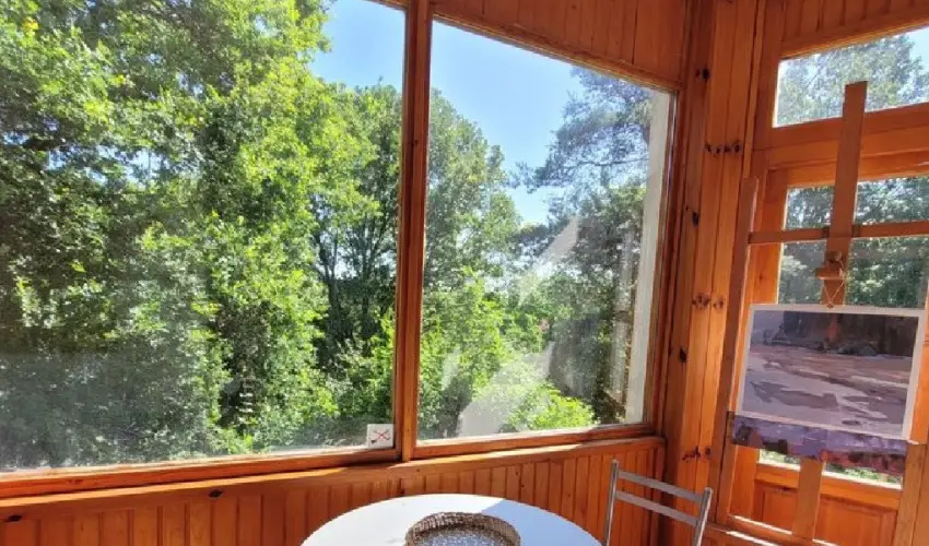 Szarvas Panzi� Erd�b�nye - P�nk�sd (min. 2 �j)