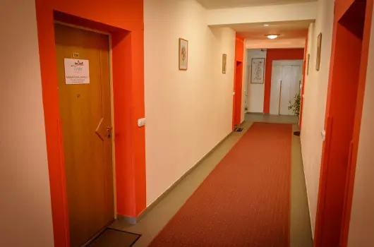 Erika Apartman - Pnksd (min. 2 j)