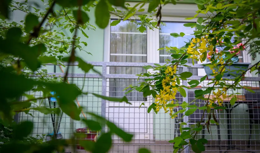 Erika Apartman Srvr - Pnksd (min. 2 j)