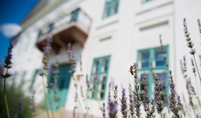 Erzsébet Nagy Szálloda Paks - Pünkösd