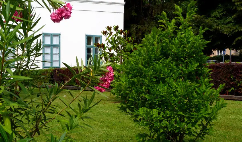 Erzsébet Nagy Szálloda Paks - Pünkösd