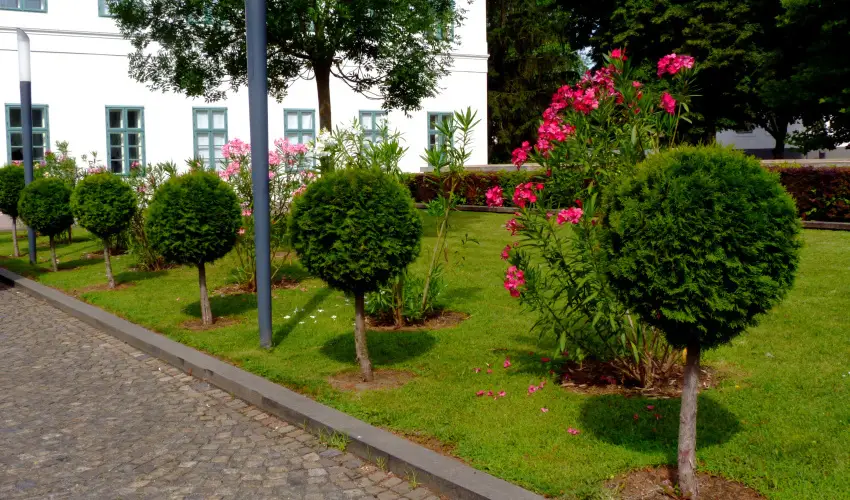 Erzsébet Nagy Szálloda Paks - Pünkösd