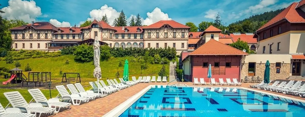 Erzsbet Park Hotel Pardfrd - Pnksd