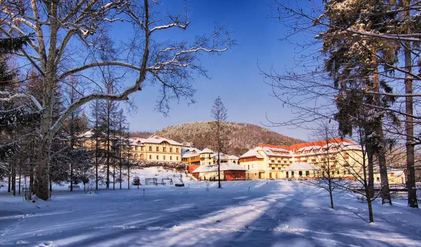 Erzs�bet Park Hotel Par�df�rd� - P�nk�sd (min. 3 �j)