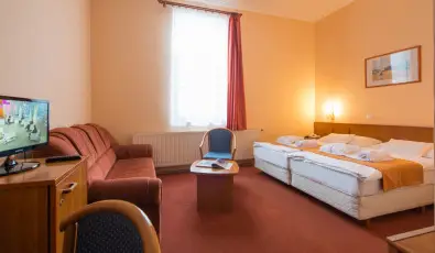 Erzs�bet Park Hotel Par�df�rd�