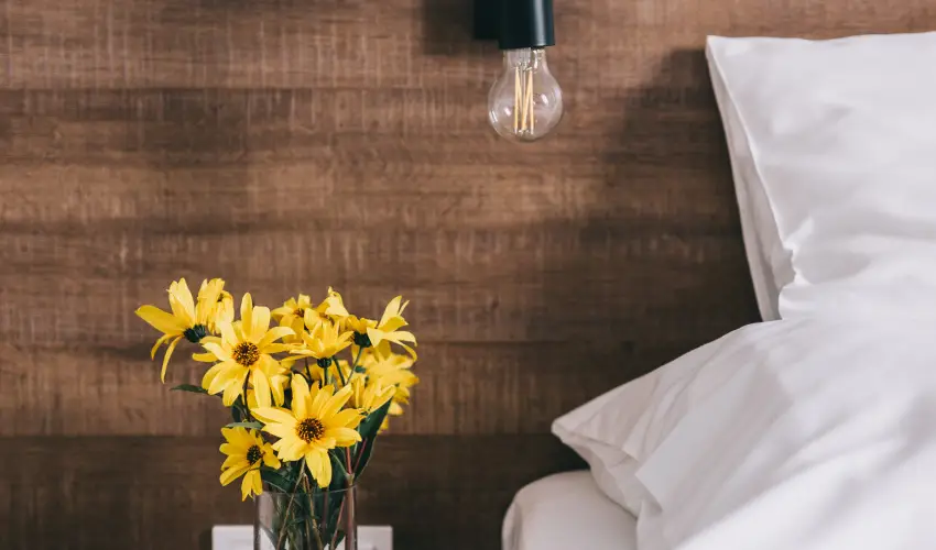 FATA Birtok Vendghz Nemesgulcs - Pnksd (min. 2 j)