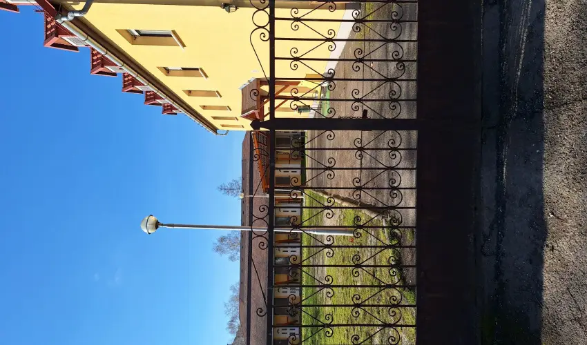 Feny Panzi Mezkvesd - Pnksd 