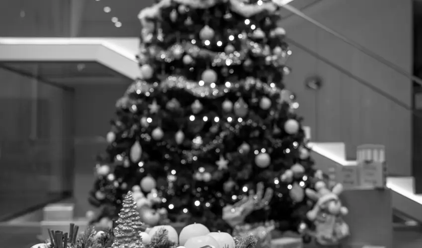 Fibula Residence Hotel & Wellness Pcs - Pnksd 