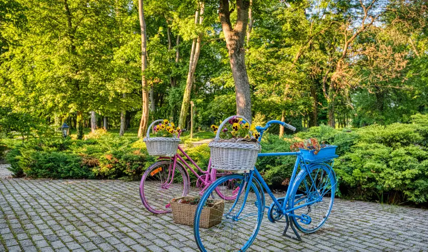 Főnix Wellness Resort Nógrádgárdony - Pünkösd
