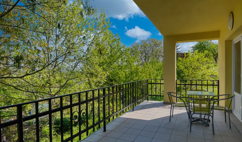 Fried Kast�ly Hotel Simontornya - P�nk�sd (min. 3 �j)